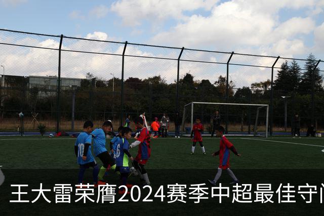 王大雷荣膺2024赛季中超最佳守门员